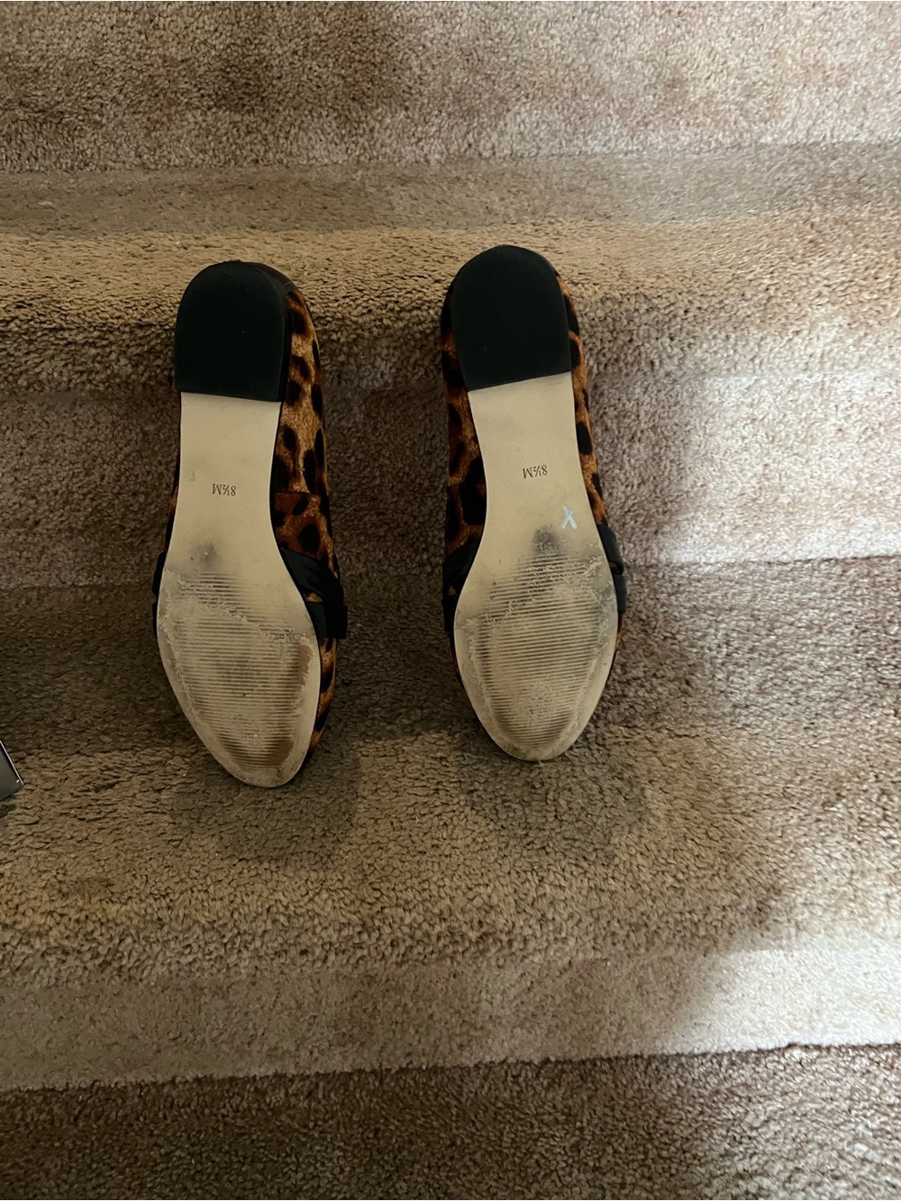 Talbots Leopard Print Flats with Black Band - Picture 3 of 3